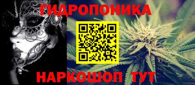спайс Кудрово