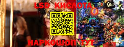спайс Кудрово